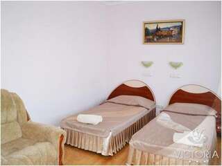 Гостиница Viktoria Hotel Симферополь Двухместный номер Делюкс с 2 отдельными кроватями-4